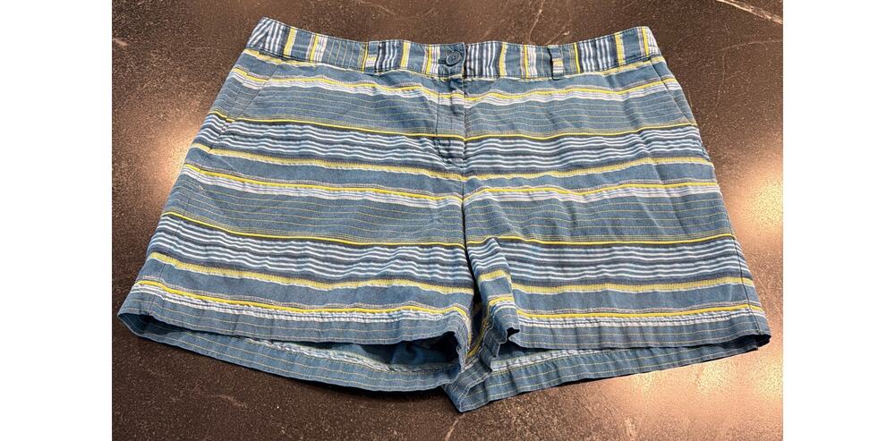 Ann Taylor LOFT turquoise and lime striped shorts Size 16
